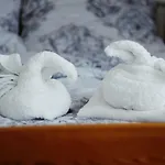 Folwark Anna Séjour chez l'habitant *