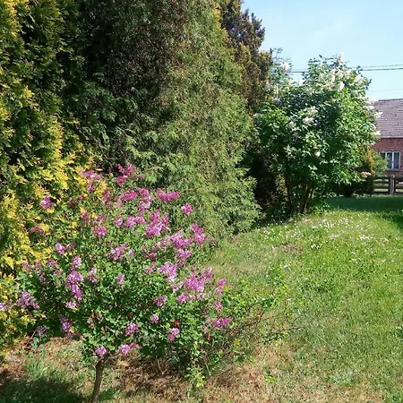 Homestay Folwark Anna