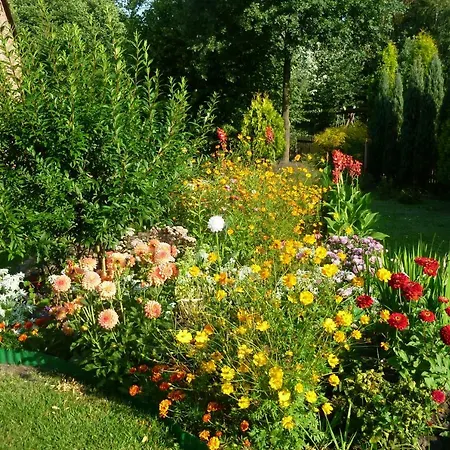 Folwark Anna Kamienica Polska