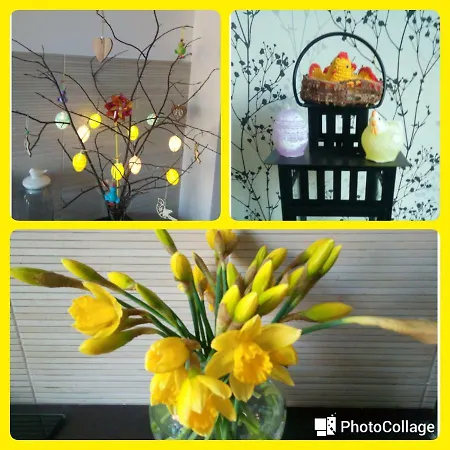 Folwark Anna Проживание в семье