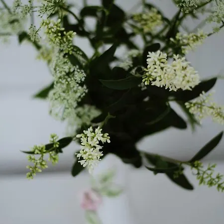 Проживание в семье Folwark Anna