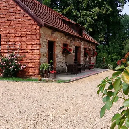 Проживание в семье Folwark Anna