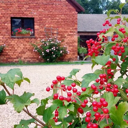 Pansiyon Folwark Anna Kamienica Polska