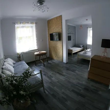 Проживание в семье Folwark Anna *