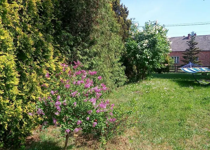 منزل للإقامة Folwark Anna