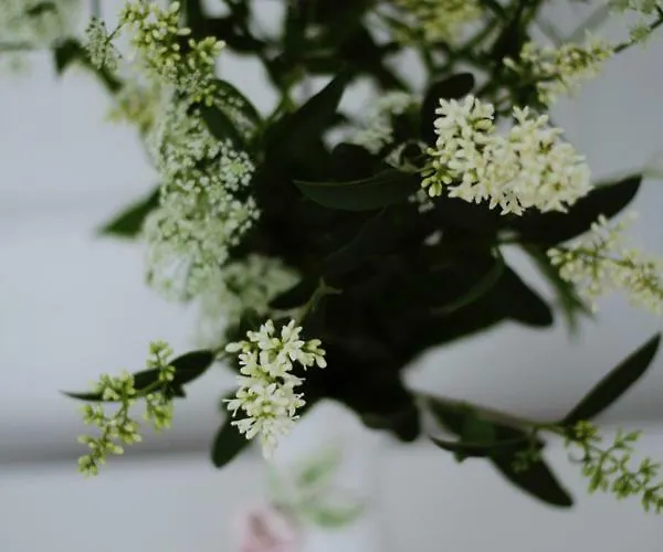 منزل للإقامة Folwark Anna