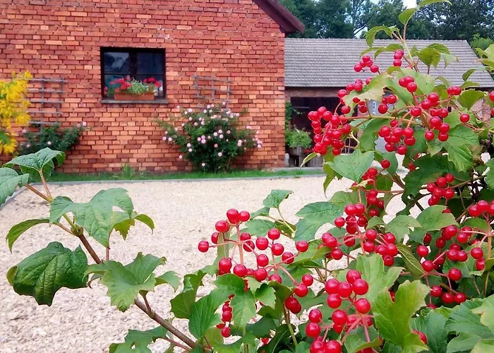 منزل للإقامة Folwark Anna Kamienica Polska